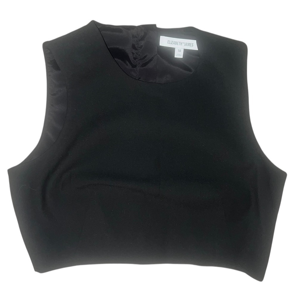 Elizabeth James  Black Crop Top S 10 Round Neck Dark Academia Emo Minimalist